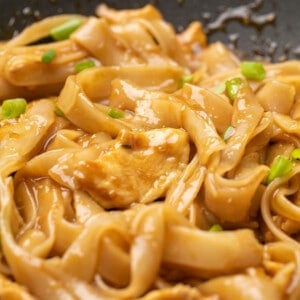 gluten free lo mein noodles and sauce with chicken