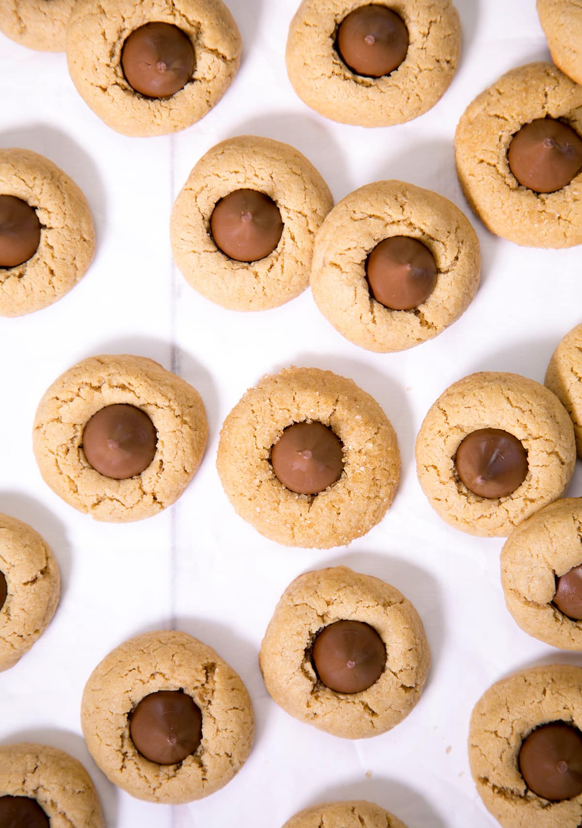 Birds eye view of peanut butter blossom cookies on white surface