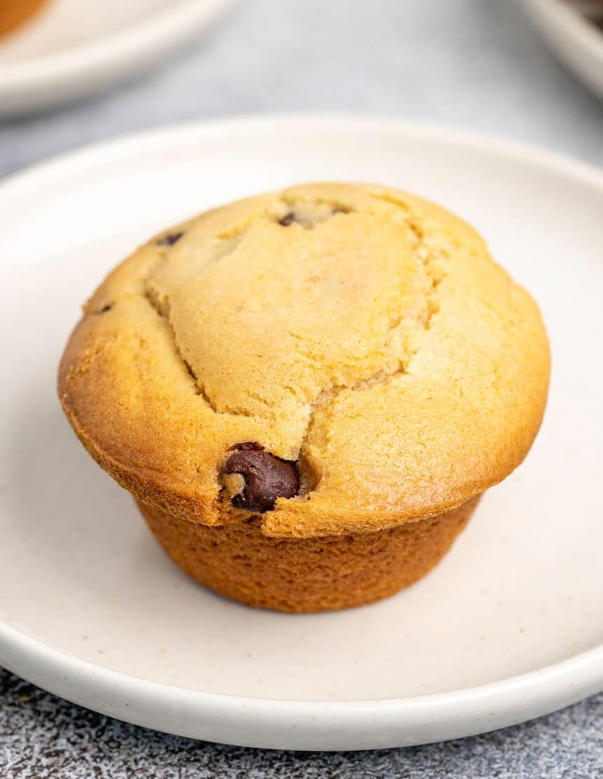 One chocolate chip muffin on small white plate