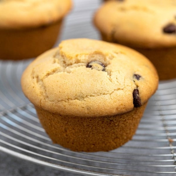 brown vegan gluten free muffins with mini chocolate chips on round wire rack