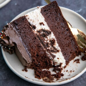 slice of gluten free ice cream cake with chocolate cake and ice cream in center of 2 layers