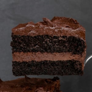 closeup image of slice of quinoa chocolate layer cake