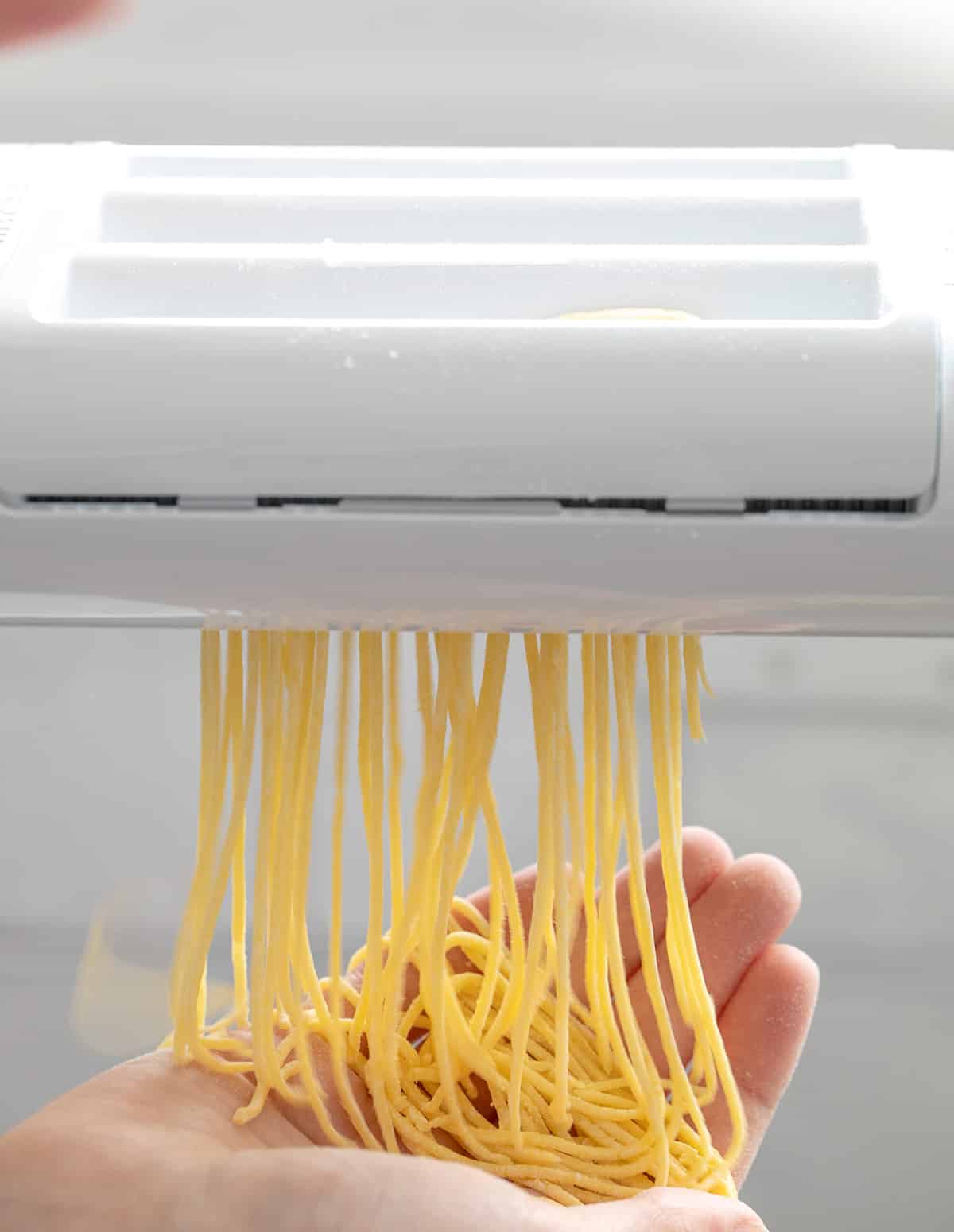Hand below pasta roller catching cut fresh angel hair pasta noodles