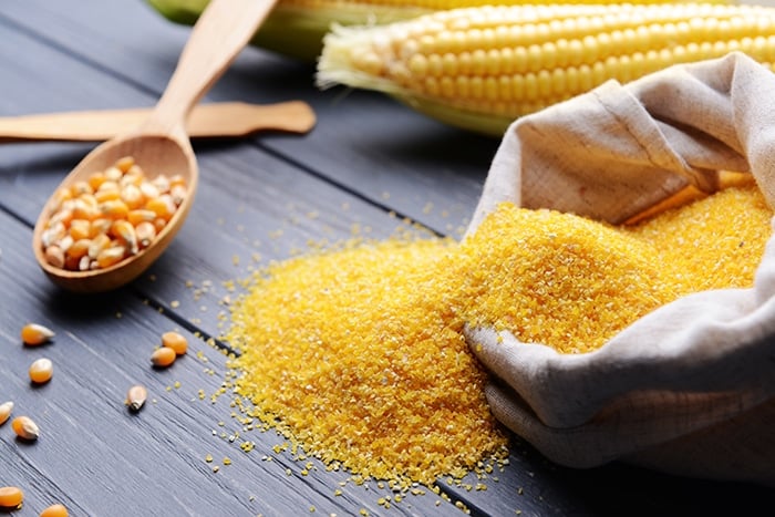 whole yellow corn kernels in a wooden spoon and yellow cornmeal spilling out of a burlap bag with an ear of corn in the background