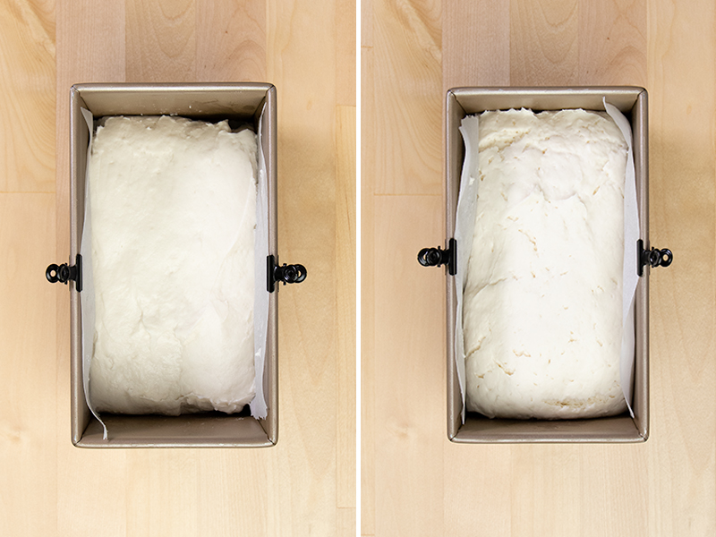 gluten free bread dough in loaf pan before and after rise