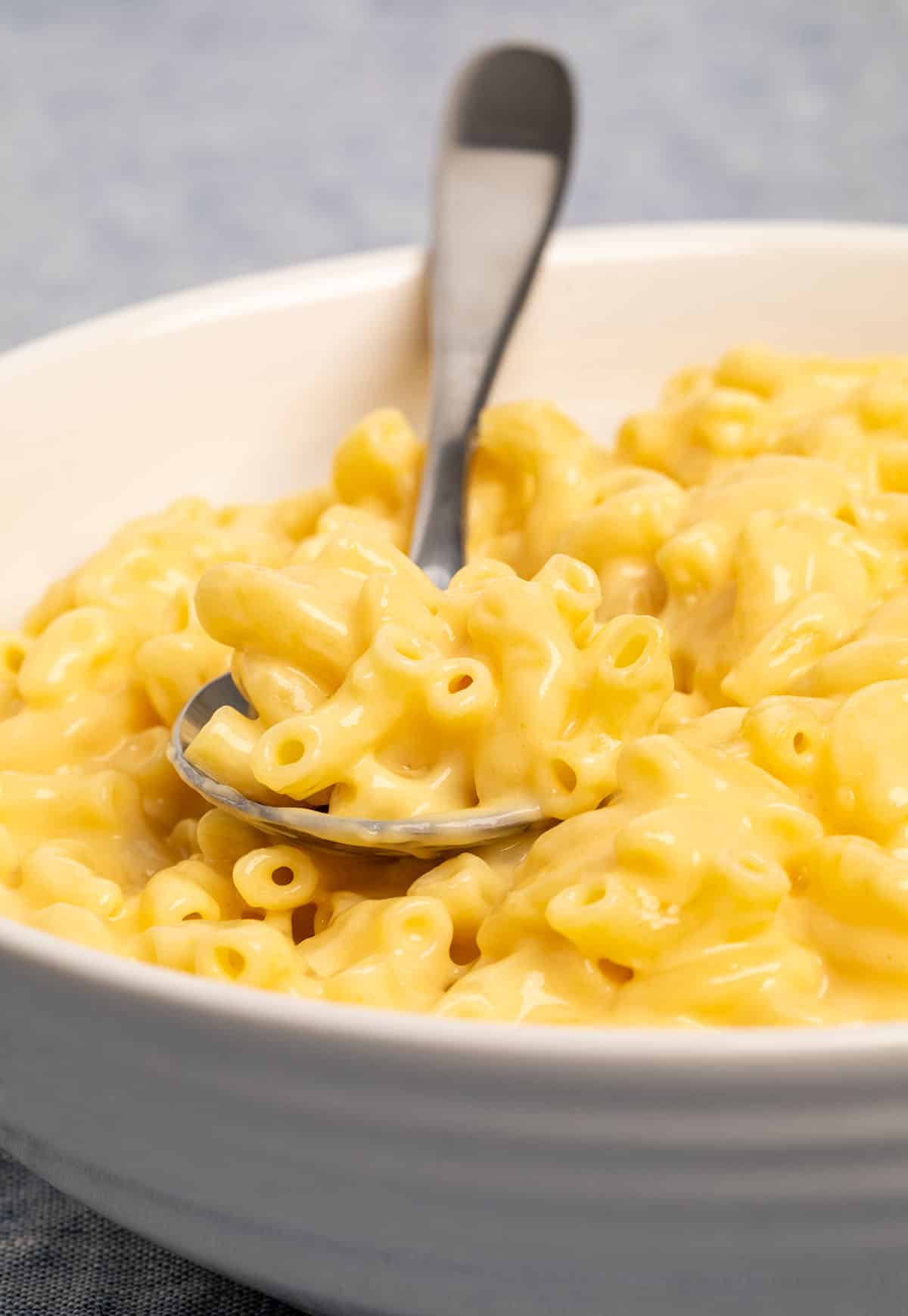 Gluten free mac and cheese with elbow noodles in yellow cheese sauce in wide flat white bowl with metal spoon.