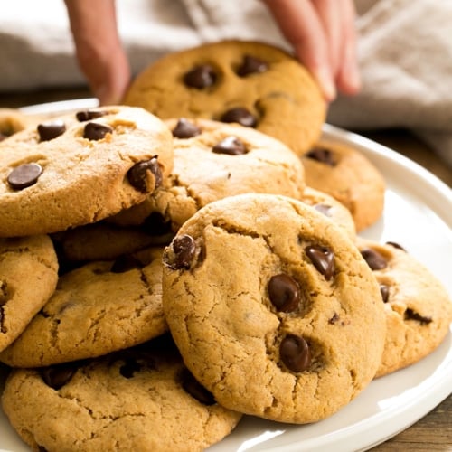 pile of gluten free pumpkin chocolate chip cookies