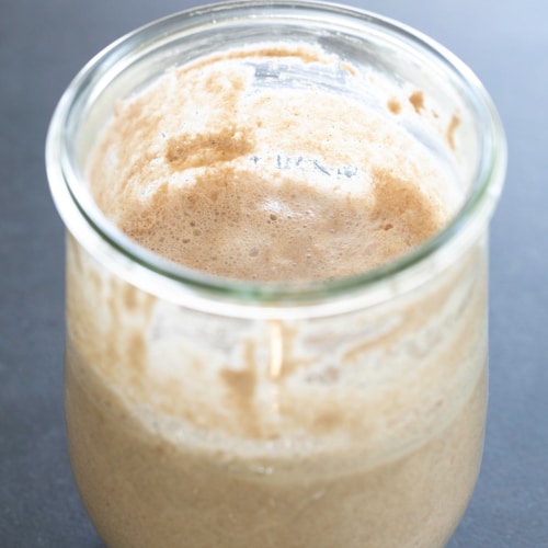 gluten free sourdough starter in glass jar