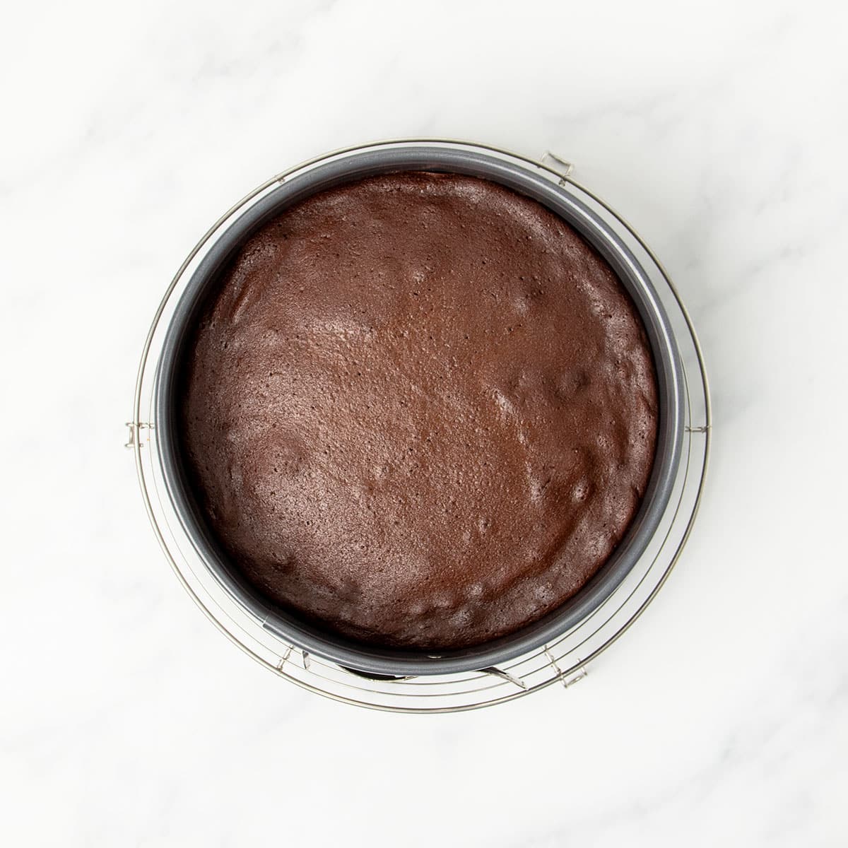 Overhead image of baked brown cake in same gray springform pan round metal wire cooling rack.