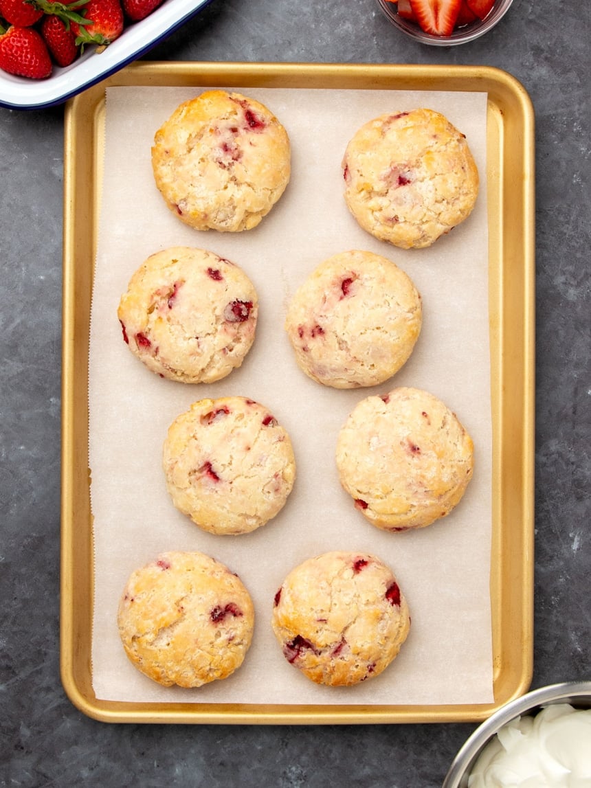 overhead image of 8 round light brown biscuits with bits of red strawberries baked inside on white paper on gold colored rimmed baking sheet