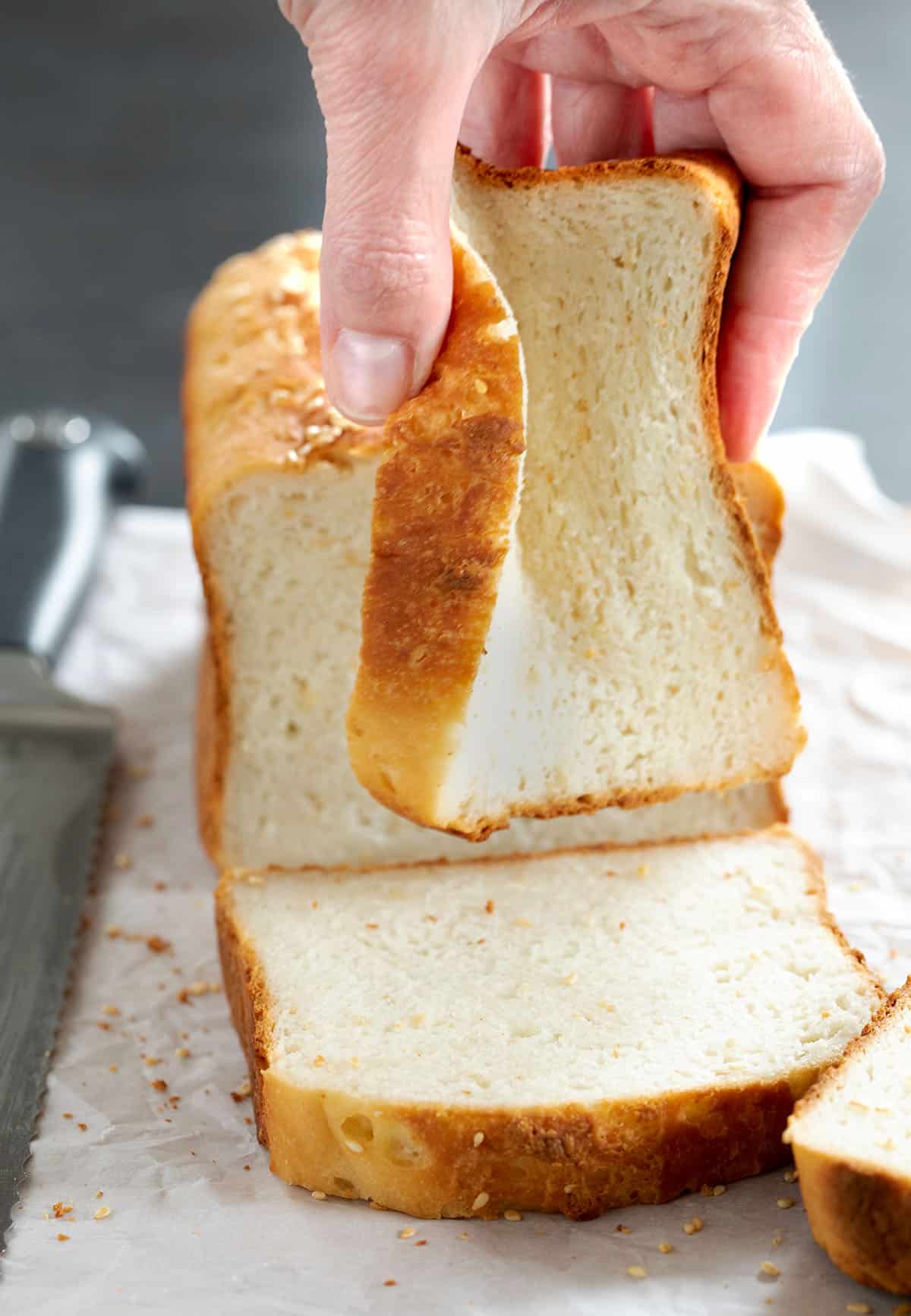 hand holding slice of brown crust with soft white interior bread squishing it
