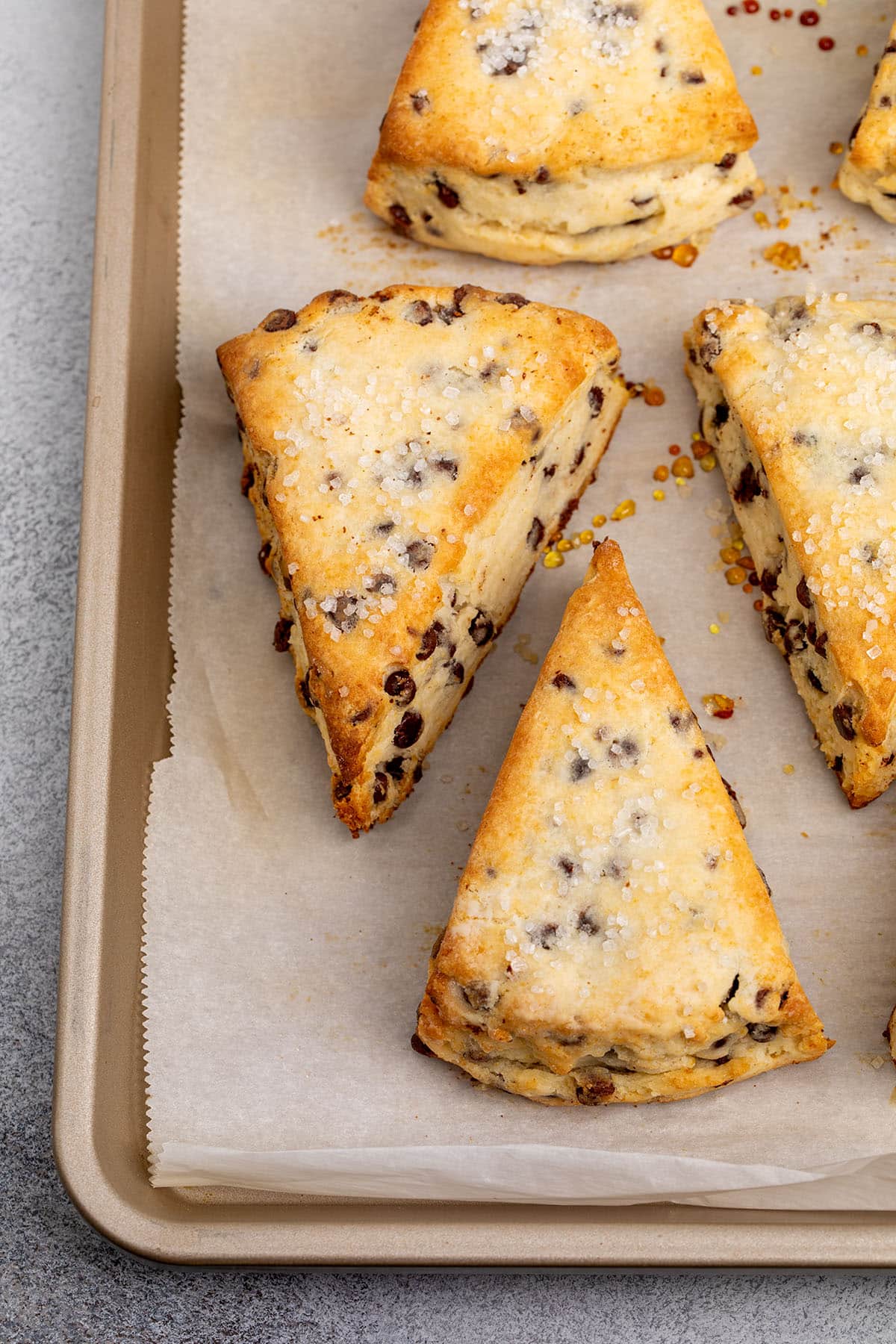 Gluten free chocolate chip scones topped with coarse sugar on a parchment-lined baking sheet