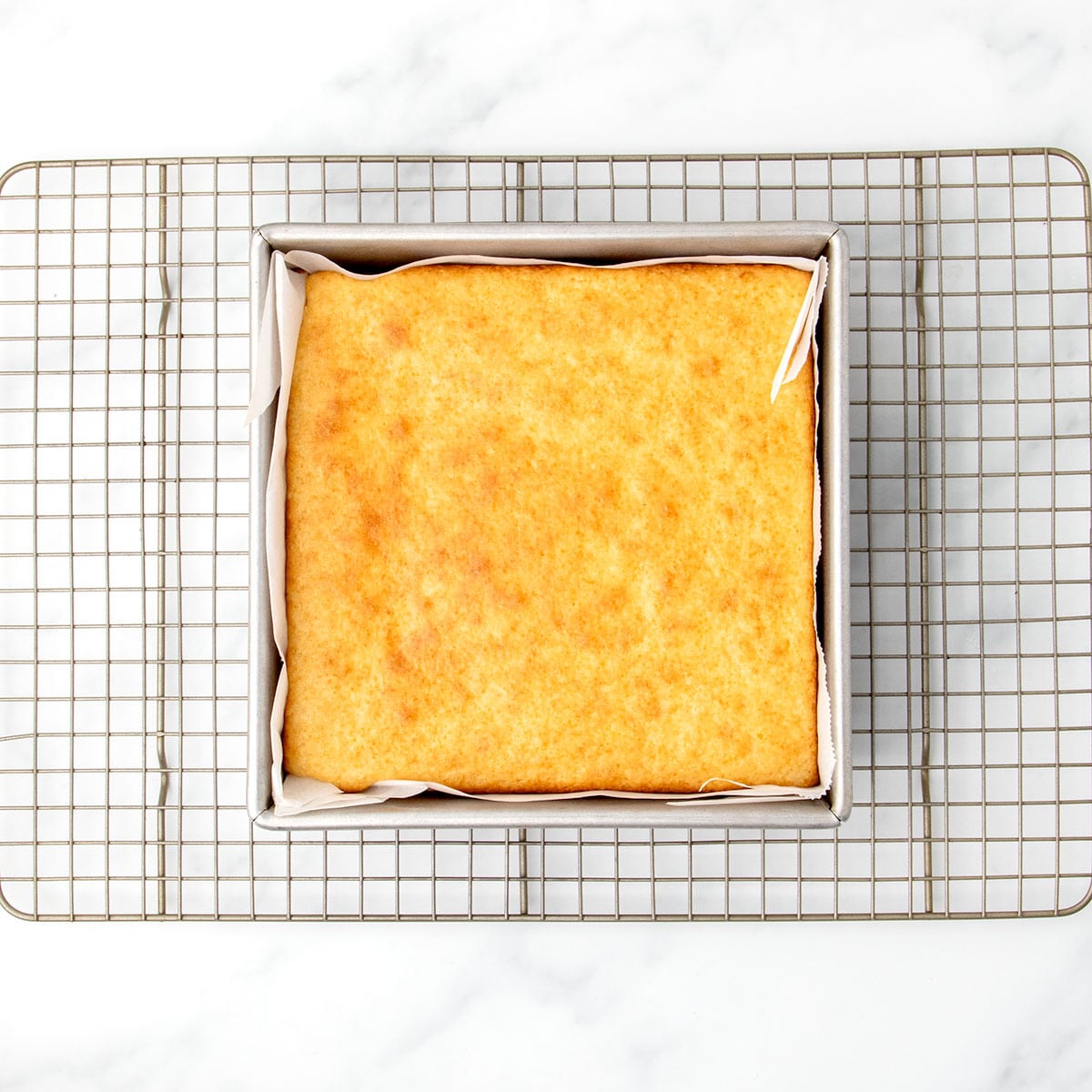 Baked gluten free dairy free vanilla cake cooling in the pan on a wire rack, golden brown and evenly risen.