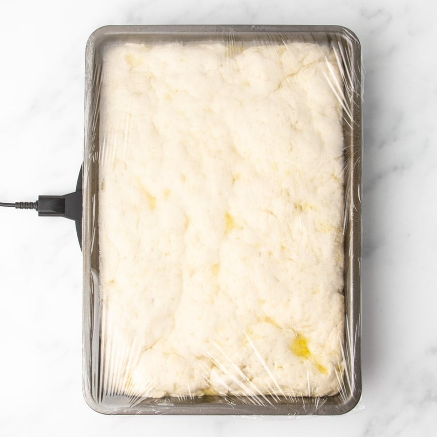 risen pale dough in same rectangular pan covered in plastic