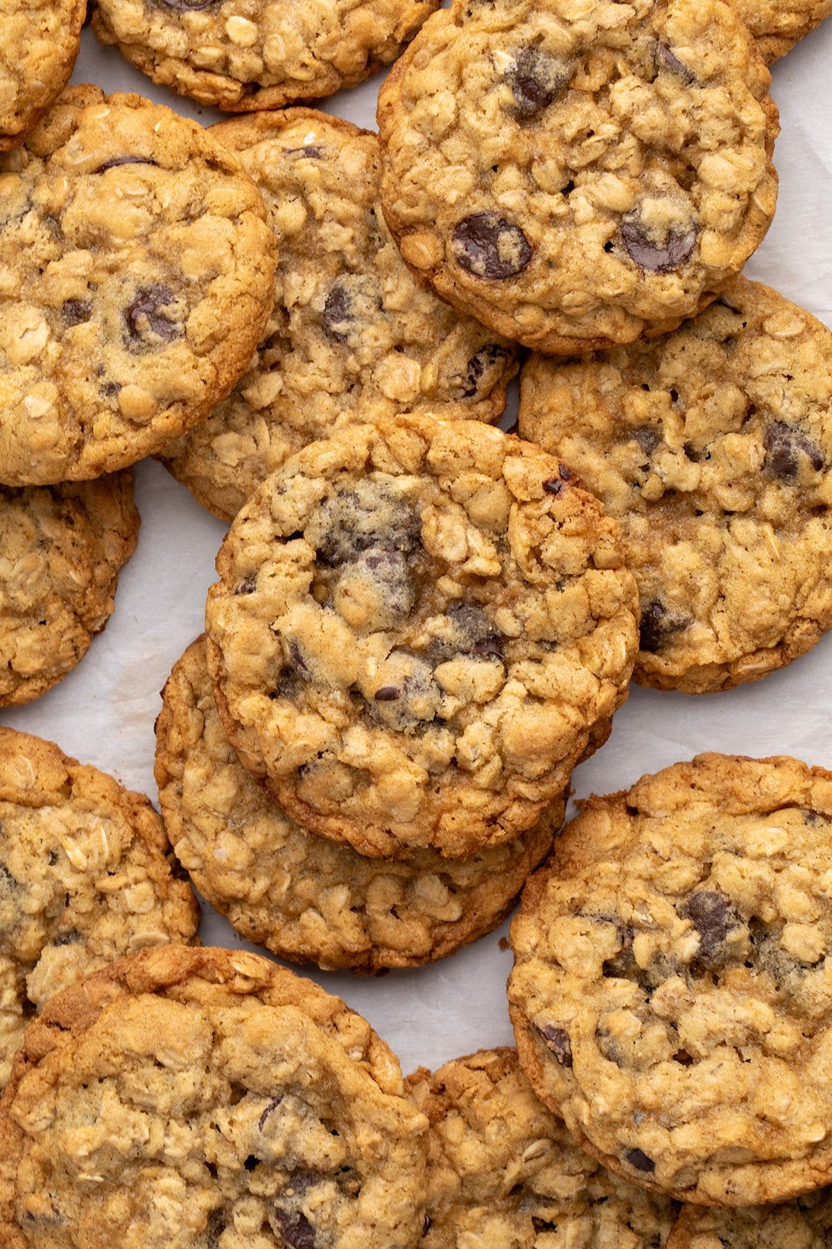 A group of oatmeal cookies with chocolate chips arranged on a parchment-lined metal baking sheet.
