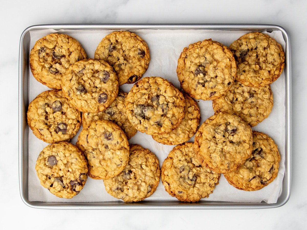 A baking sheet covered with 16 large round oatmeal cookies studded with chocolate chips, some stacked and slightly overlapping.