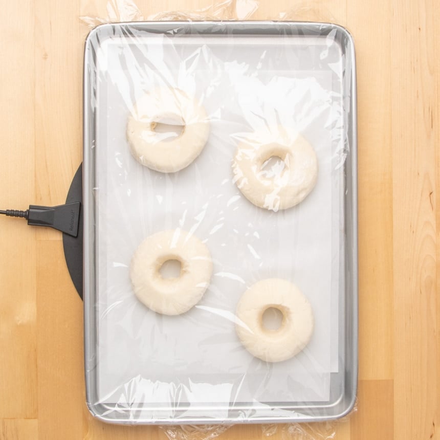 Baking sheet lined with parchment paper holding four ring-shaped raw unrisen dough pieces covered loosely with plastic wrap, resting on a wooden surface.
