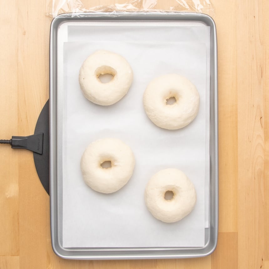 Four ring-shaped dough pieces spaced apart on a parchment-lined baking sheet after rising to about 50% larger than they began.