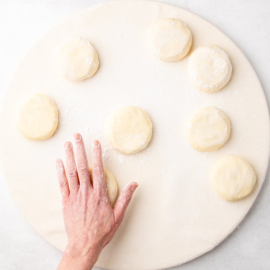 Small dough rounds arranged on a floured cloth surface with a hand pressing one piece flat.