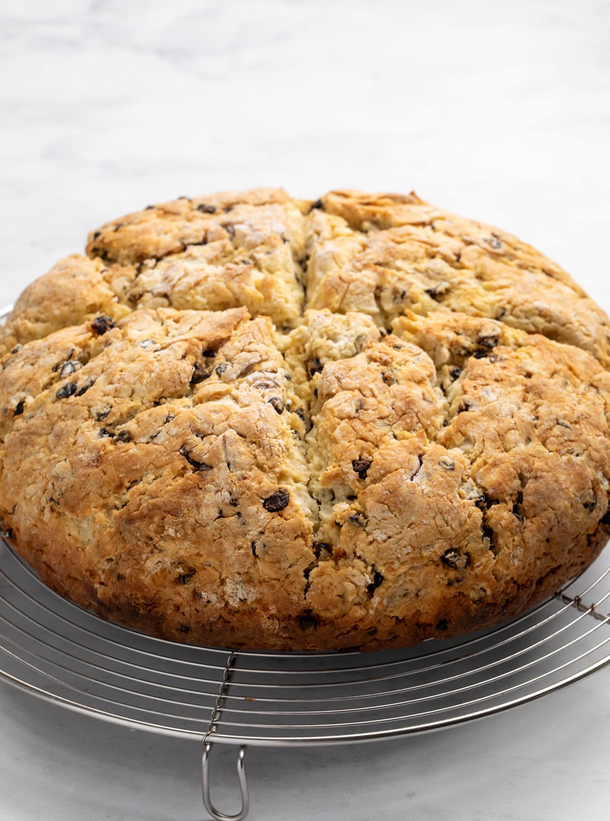 Whole round golden brown Irish soda bread with dark raisins on round wire rack cooling