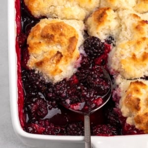 close-up of baked gluten free blackberry cobbler with a spoon in the berry filling beside golden biscuit topping