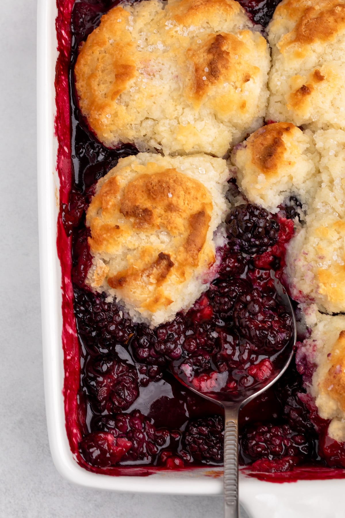 close-up of baked blackberry cobbler with golden biscuit topping, dark berry filling, and a spoon in the dish
