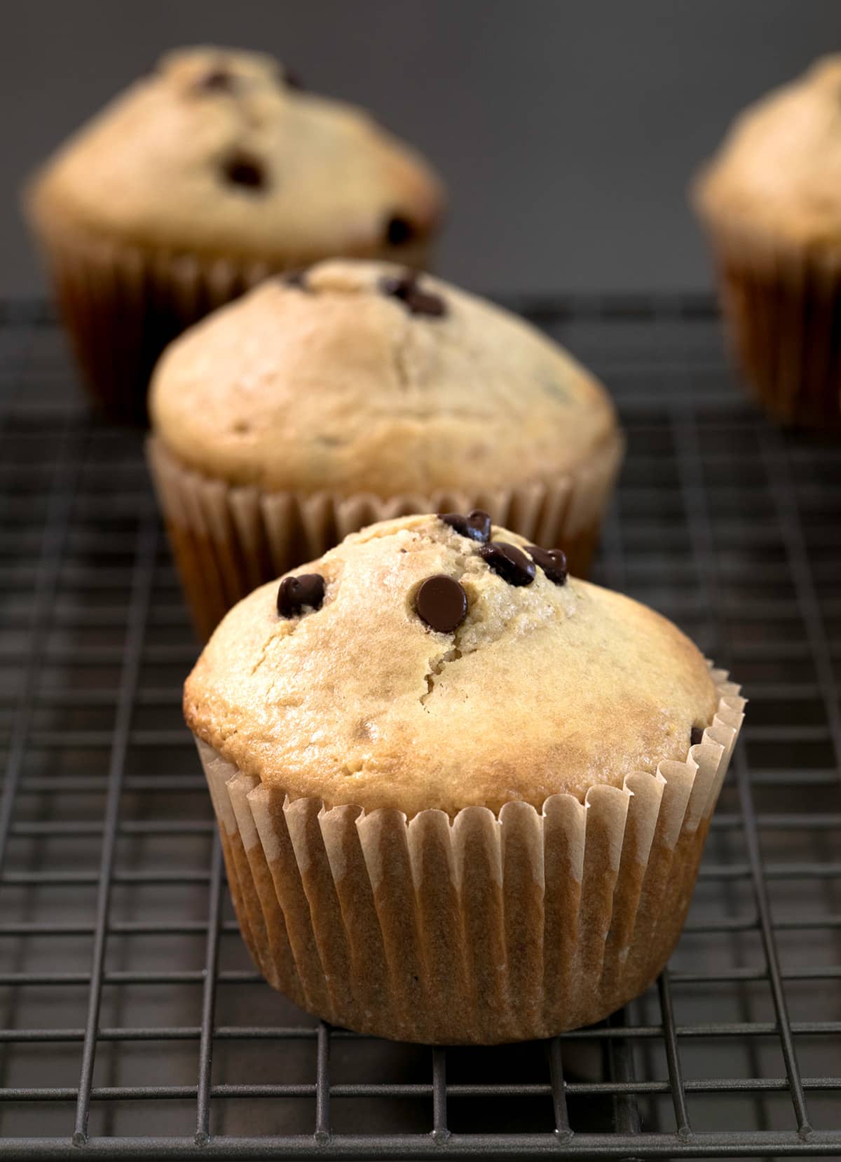 whole light golden brown muffin with mini chocolate chips in brown muffin wrapper on wire rack with more muffins in background