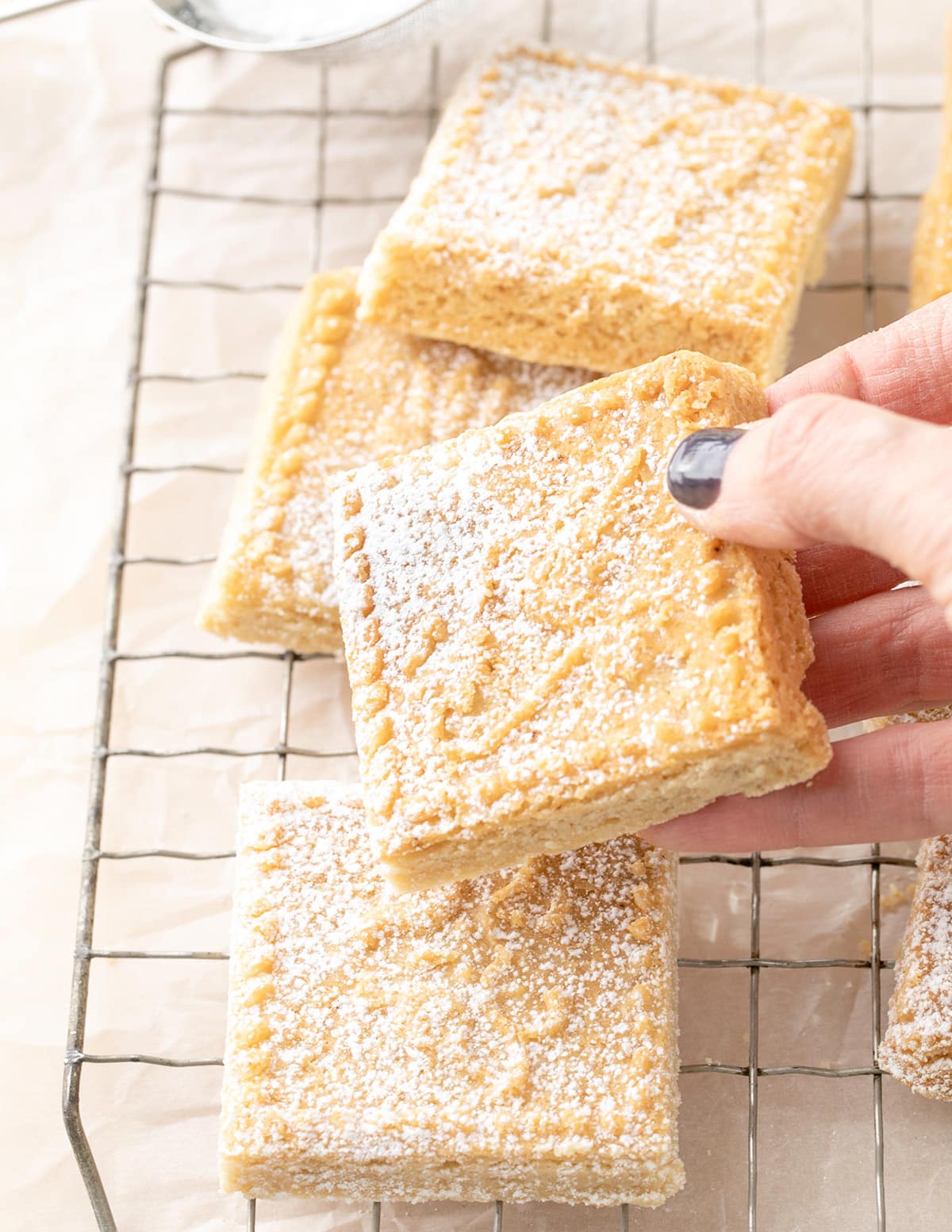Hand holding square of shortbread