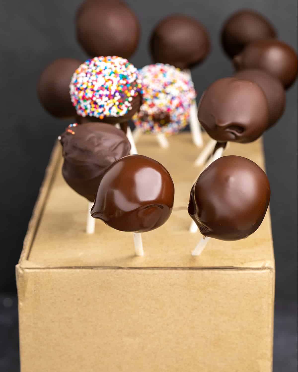 Chocolate covered cake pops stuck in cardboard box image from side