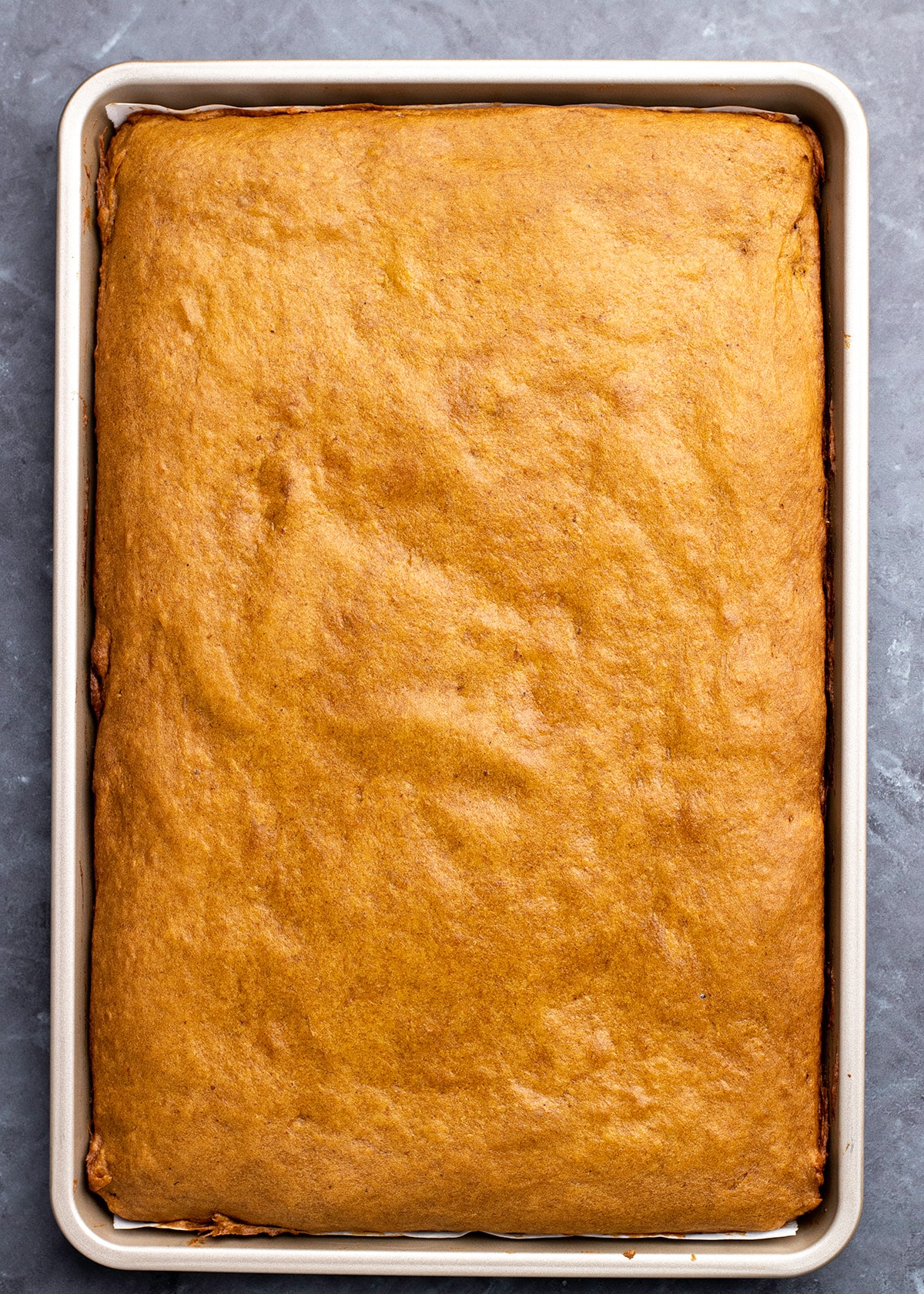 Baked uncut pumpkin bars in jelly roll pan